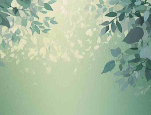 Amarnos Incondicionalmente – Meditación en el Bosque